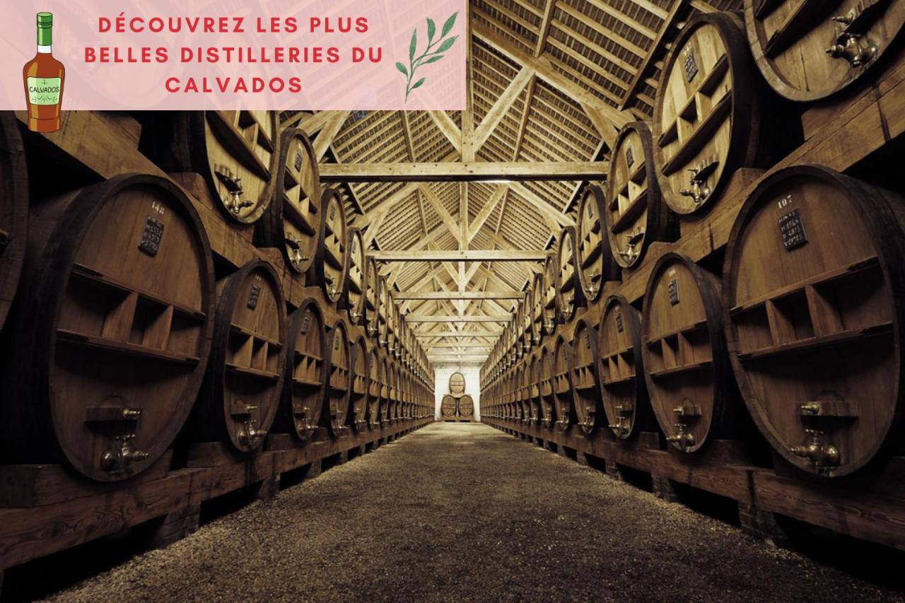 Suite Jungle - Jardin, Netflix Et Parking - Le Manoir Aux Pommes Orbec Kültér fotó